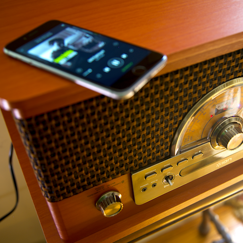 ダイゾー ナチュラル ION AUDIO Superior LP オールインワン